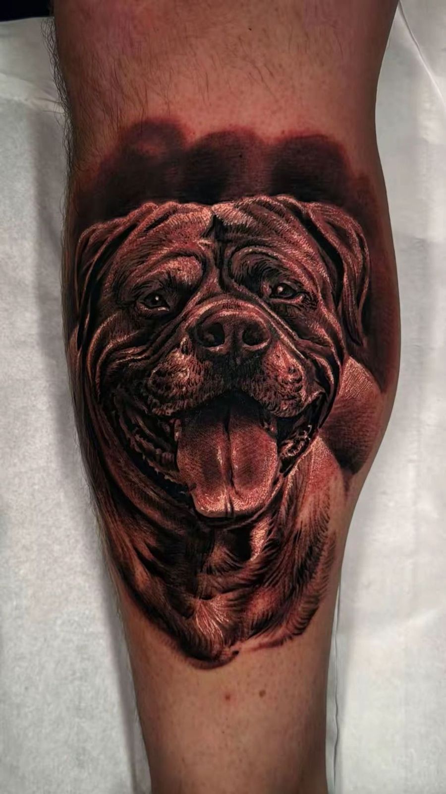 Latest Work by Andre Fila 3