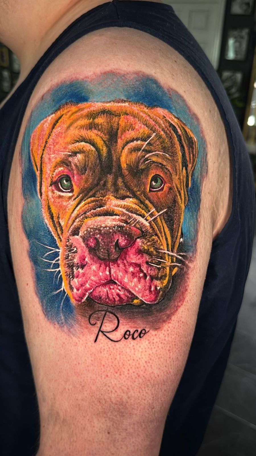 Latest Work by Andre Fila 18
