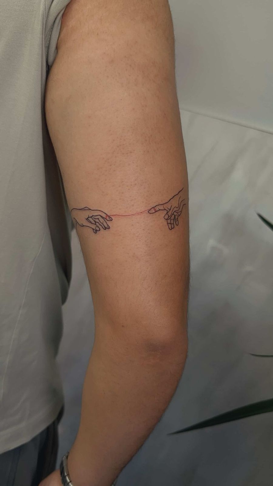 Latest Work by Camila Fila 15