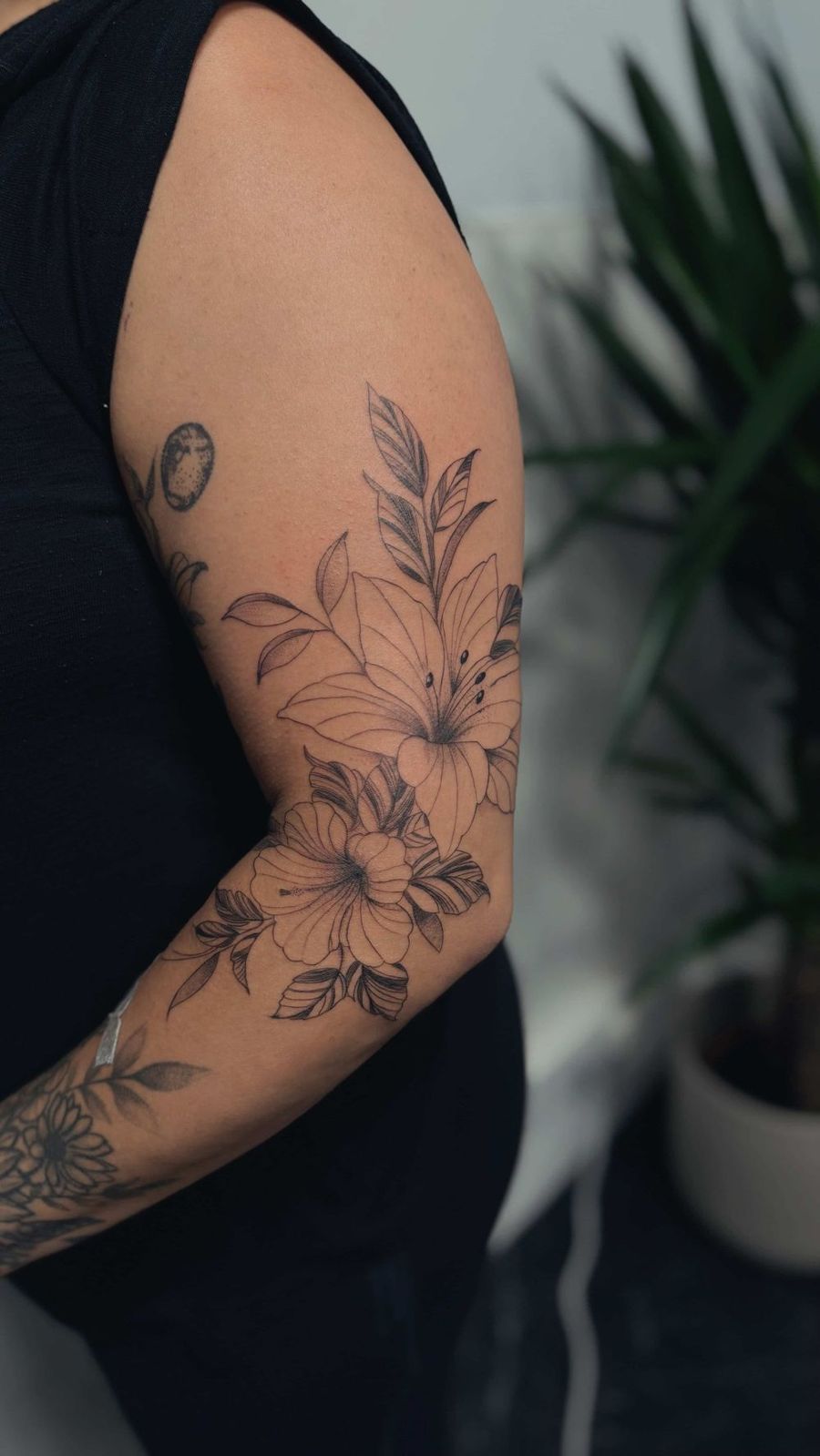 Latest Work by Camila Fila 22