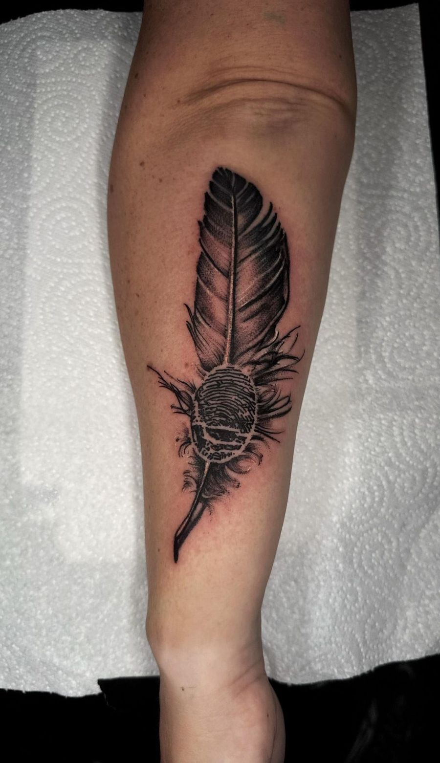 Latest Work by Paul Cheregi 17