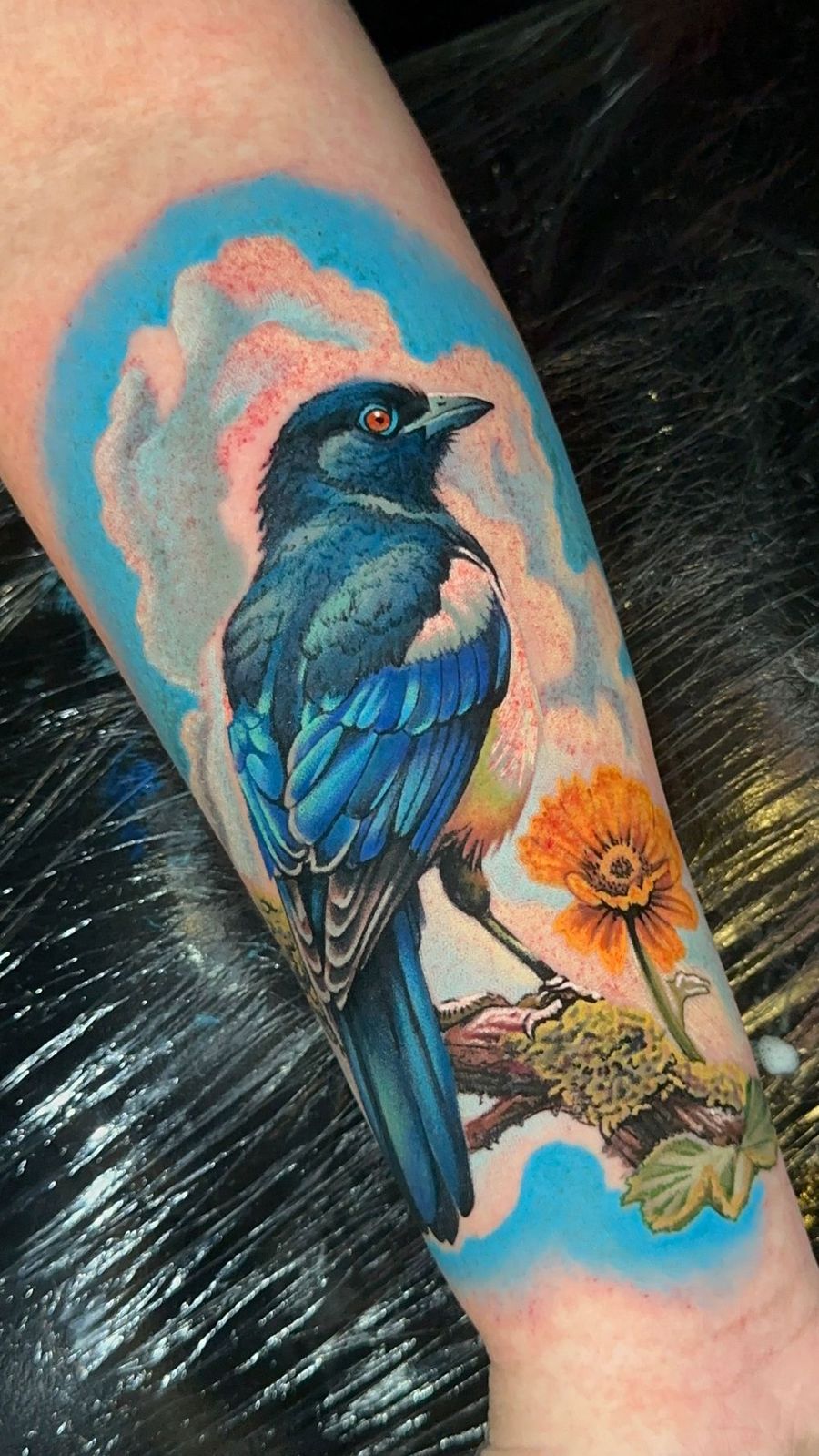Latest Work by Rich James 24